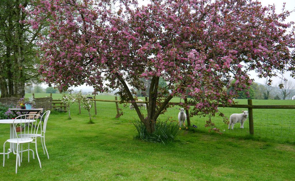 Yew Tree Farm Bed and Breakfast Eaton  Buitenkant foto