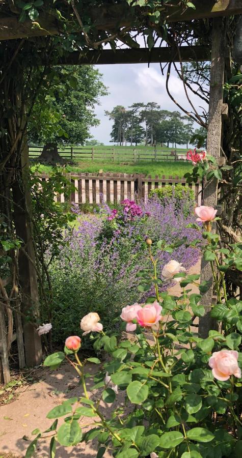 Yew Tree Farm Bed and Breakfast Eaton  Buitenkant foto