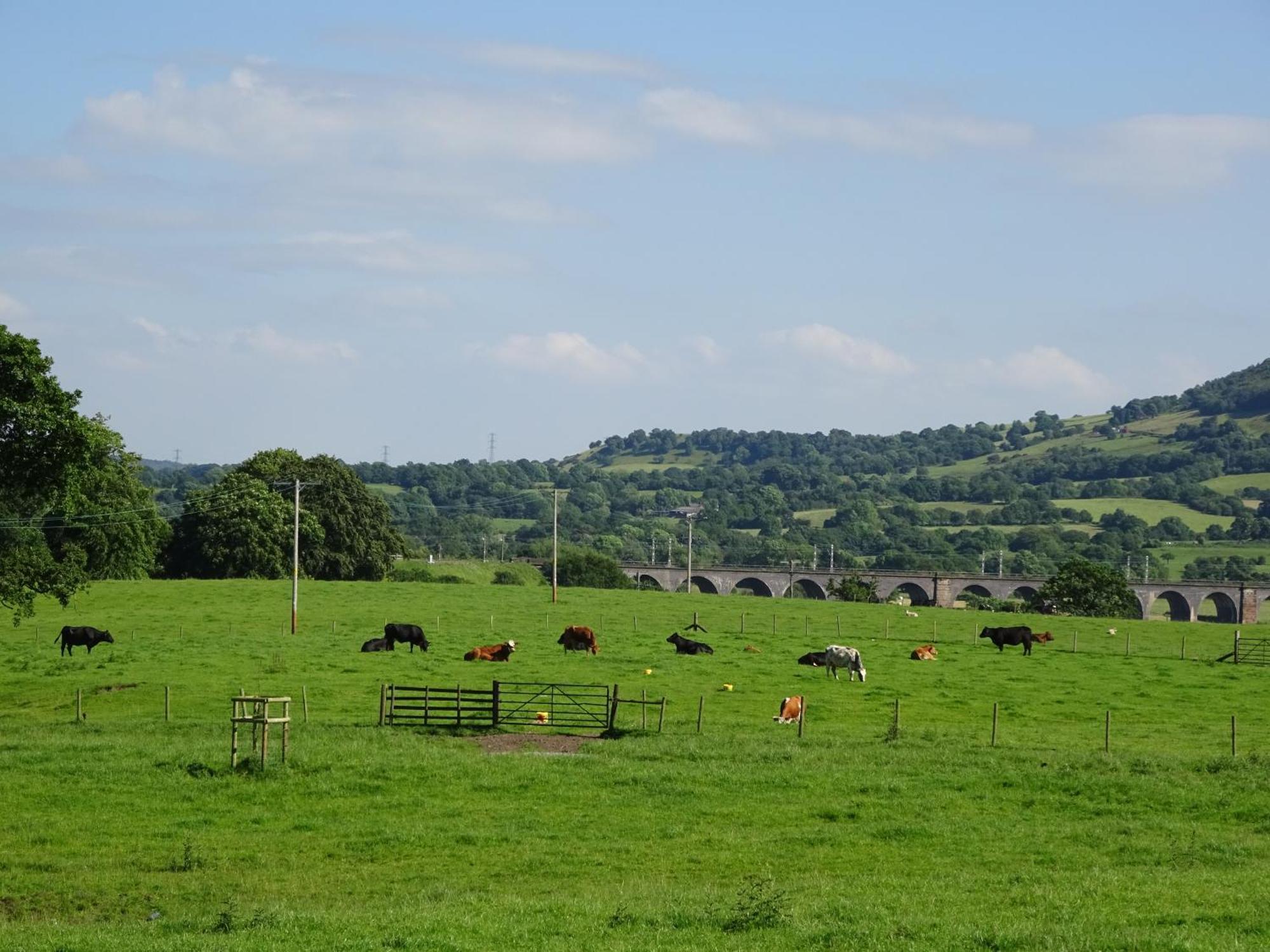 Yew Tree Farm Bed and Breakfast Eaton  Buitenkant foto