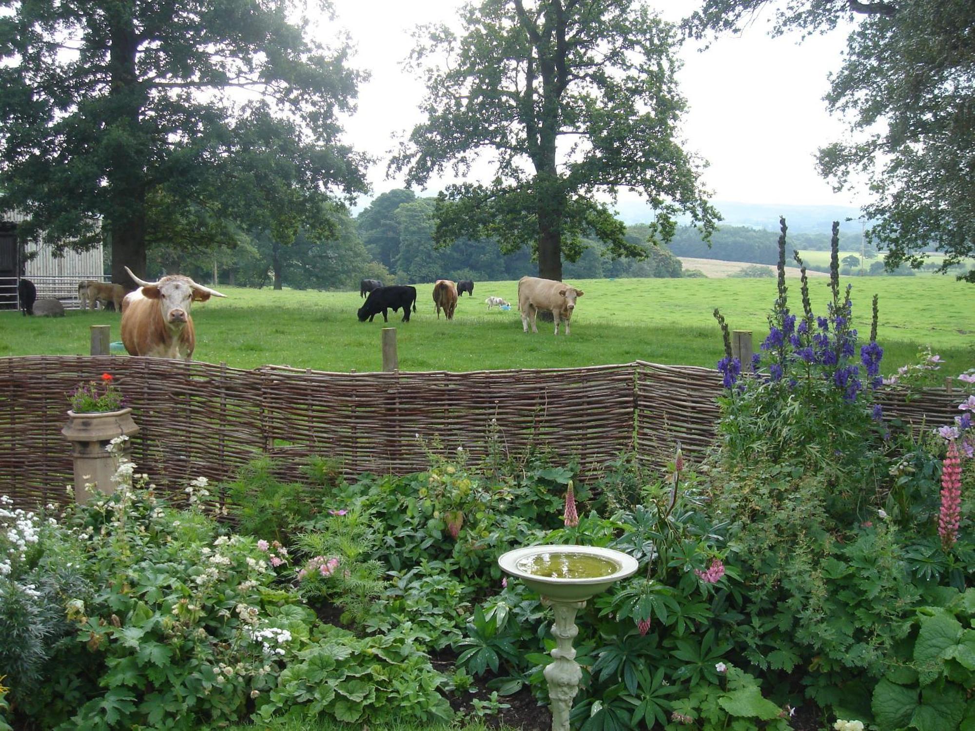 Yew Tree Farm Bed and Breakfast Eaton  Buitenkant foto