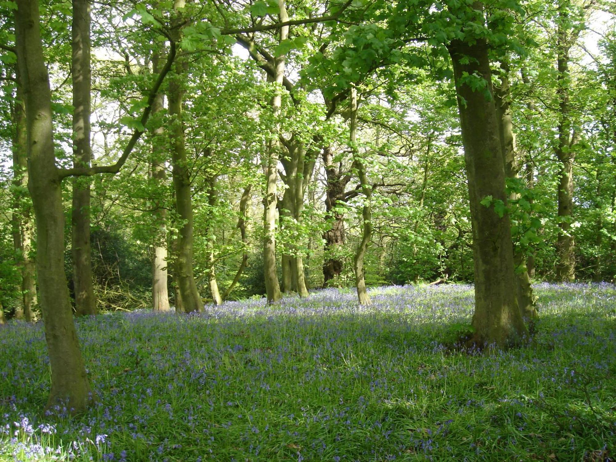 Yew Tree Farm Bed and Breakfast Eaton  Buitenkant foto