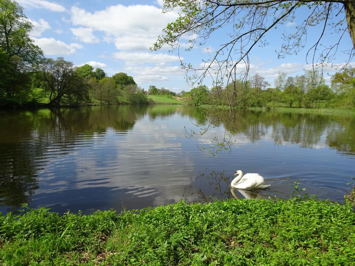 Yew Tree Farm Bed and Breakfast Eaton  Buitenkant foto