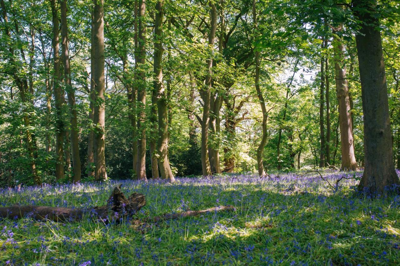 Yew Tree Farm Bed and Breakfast Eaton  Buitenkant foto